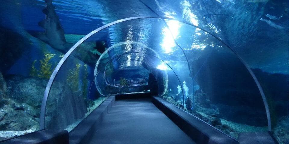 SEA LIFE Bangkok Ocean World